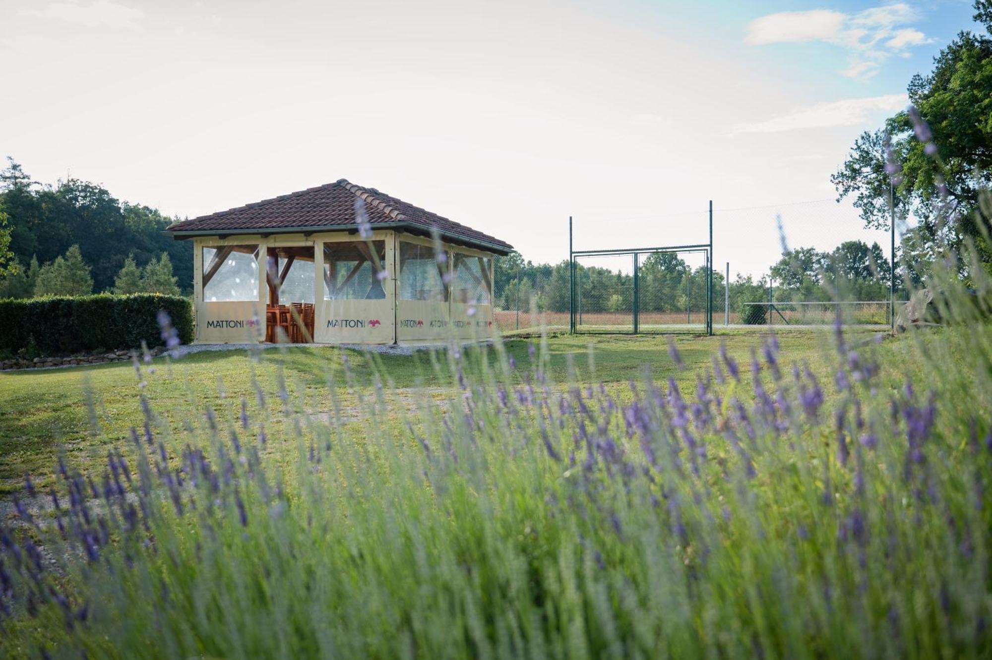 Penzion U Nováků Kozli u Orlika Exterior foto